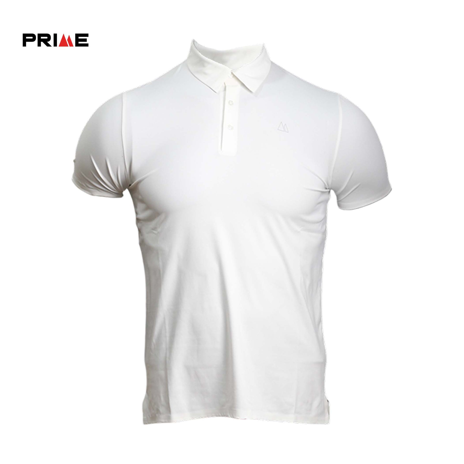 Men's Polo Basic Tee